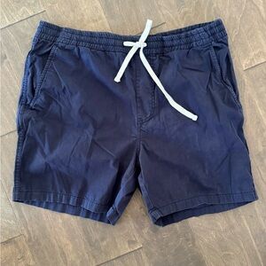 J.Crew Men’s Navy Shorts - L